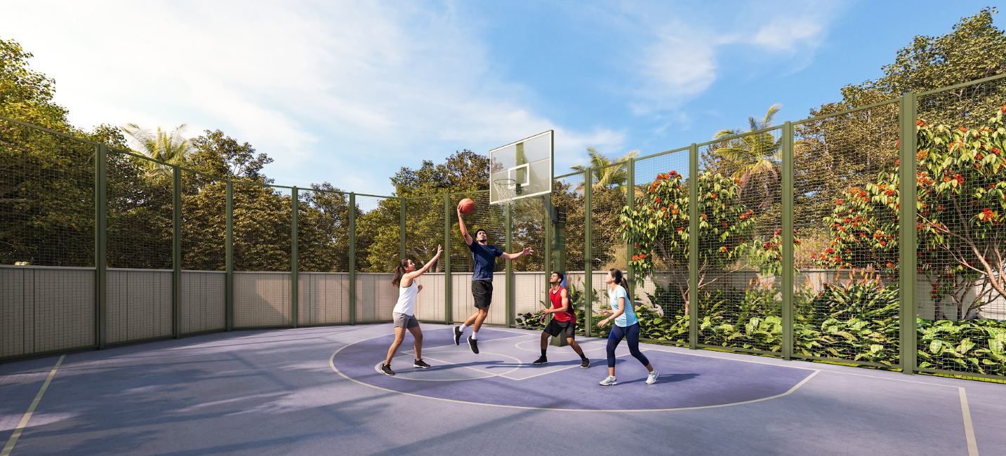 Arrkade Ascend - Multipurpose court