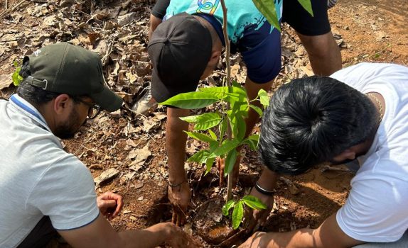 Tree Plantation Drive (1)